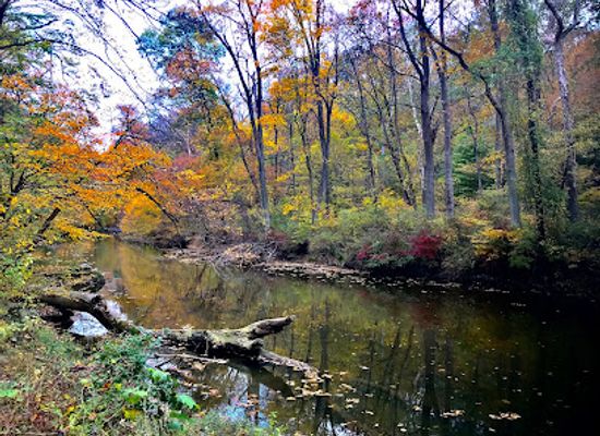 delaware/the-brandywine-valley/attraction/white-clay-creek-state-park