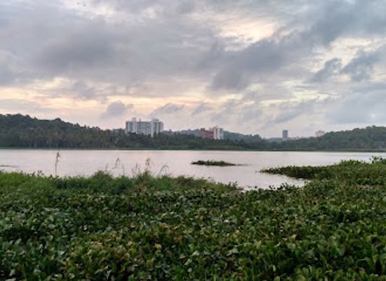 india/trivandrum/attraction/aakulam-lake