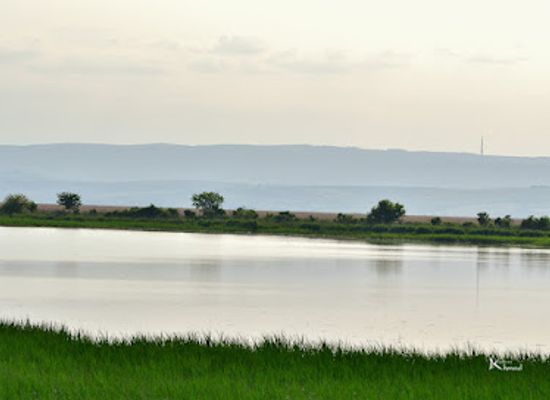 hungary/ferto-region/attraction/mexikopuszta
