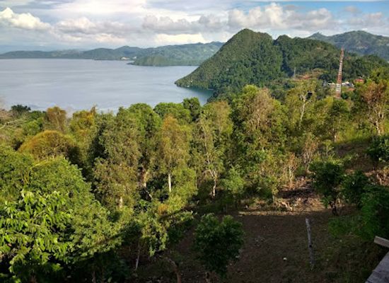indonesia/central-papua/attraction/bukit-jokowi