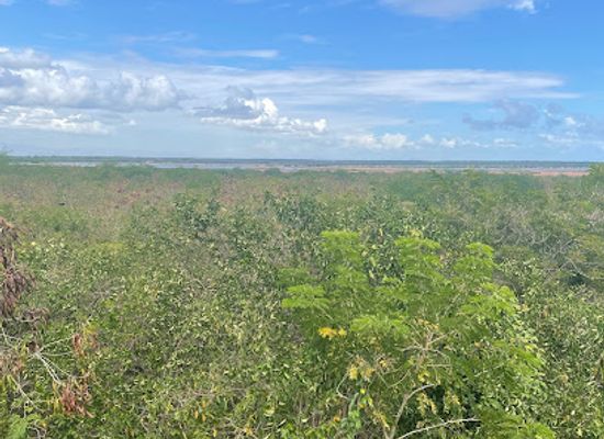 panama/las-tablas/attraction/sarigua-national-park
