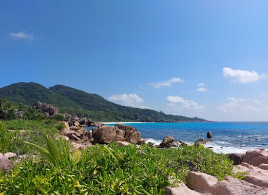 seychelles/anse-boudin/attraction/grand-l-anse