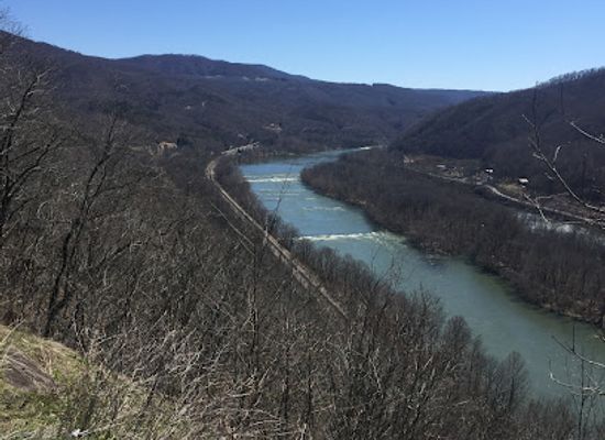 west-virginia/new-river-gorge-national-park-and-preserve/attraction/three-rivers-avian-center