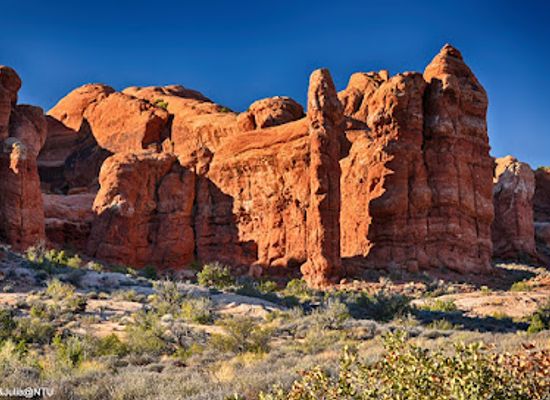 utah/arches-national-park/attraction/petrified-dunes-viewpoint