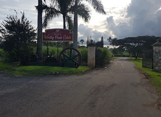jamaica/north-coast/attraction/worthy-park-estate