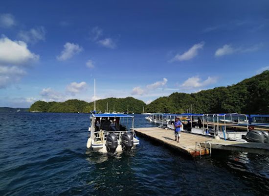 palau/koror-town/attraction/sam-s-tours-palau