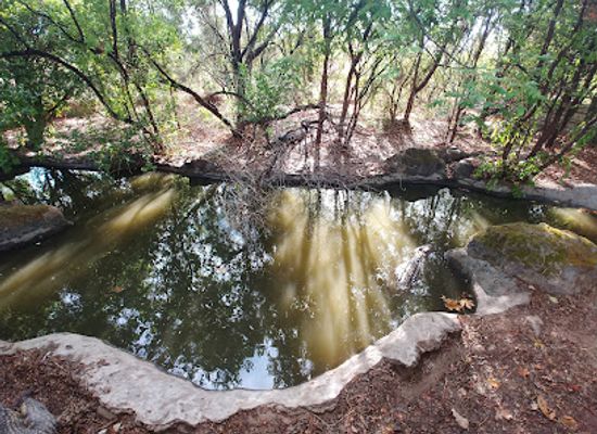 zambia/barotseland/attraction/livingstone-crocodile-park