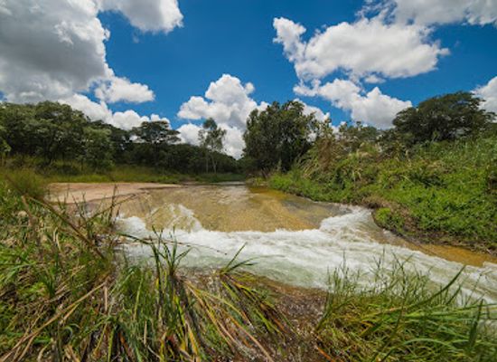 zimbabwe/lowveld/attraction/mukuvisi-woodlands