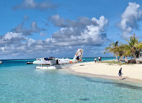 maldives/alimatha-island/attraction/sting-ray-feeding-point