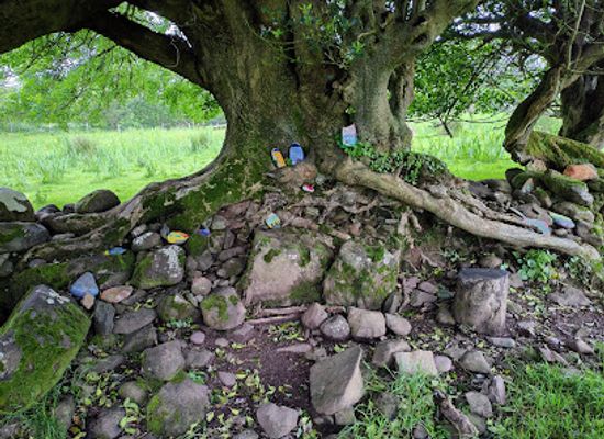 ireland/county-kerry/attraction/fairy-land