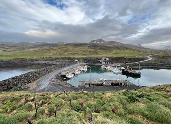 iceland/egilsstadir/attraction/borgarfjorour-eystri
