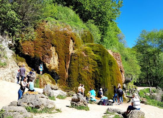 germany/eifel-national-park/attraction/dreimuhlen-wasserfall