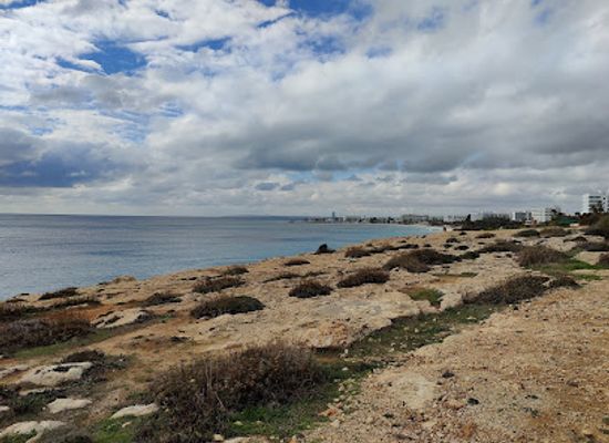 cyprus/nissi-beach/attraction/socha-motyla