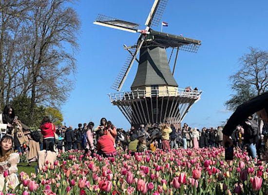 netherlands/bollenstreek/attraction/kasteel-keukenhof