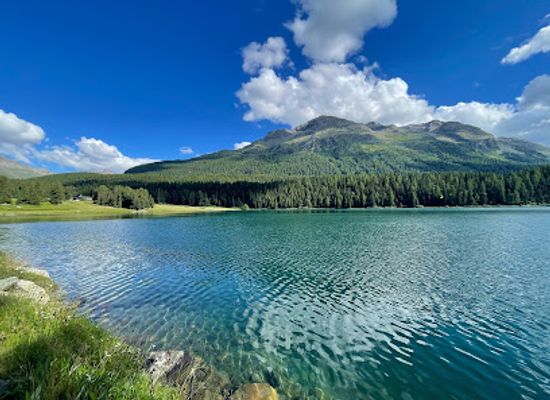 switzerland/engadin/attraction/holzskulptur