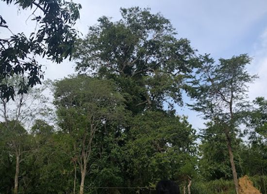 sri-lanka/moneragala-district/attraction/jayanthi-wewa-hot-spring