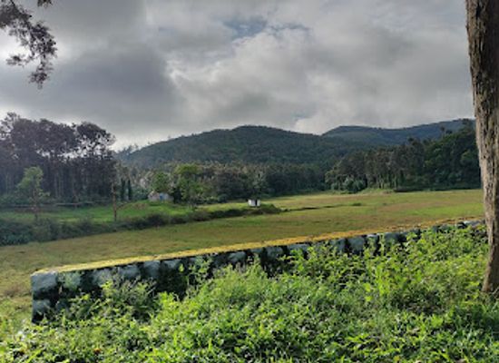 india/tamil-nadu/attraction/kolli-hills