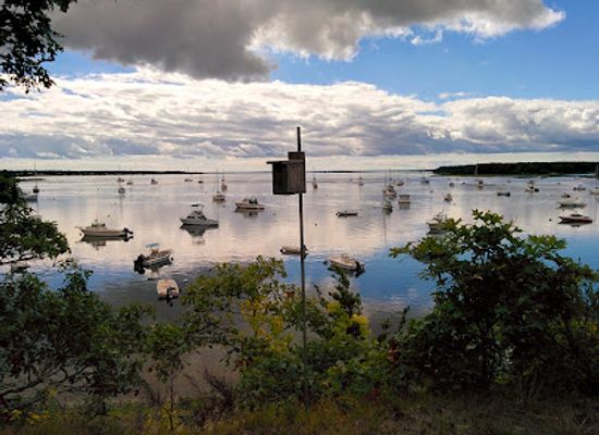 massachusetts/cape-cod/attraction/waquoit-bay-national-estuarine-research-reserve