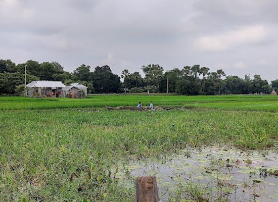 bangladesh/greater-comilla/attraction/dakshin-gram-padbil