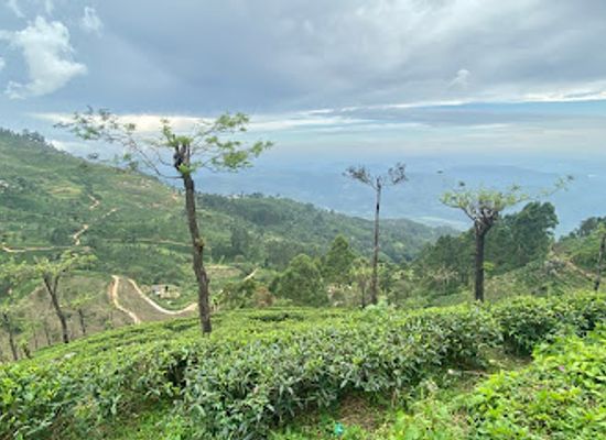 sri-lanka/moneragala-district/attraction/eagle-s-rock-view-point