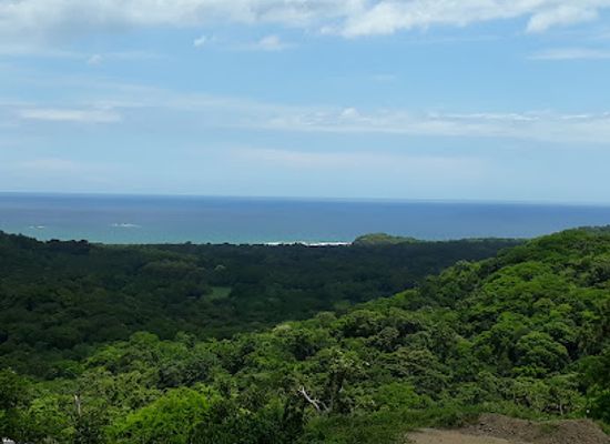 costa-rica/north-zone/attraction/playa-grande