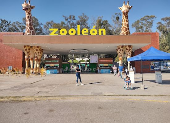 mexico/bajio/attraction/parque-zoologico-de-leon