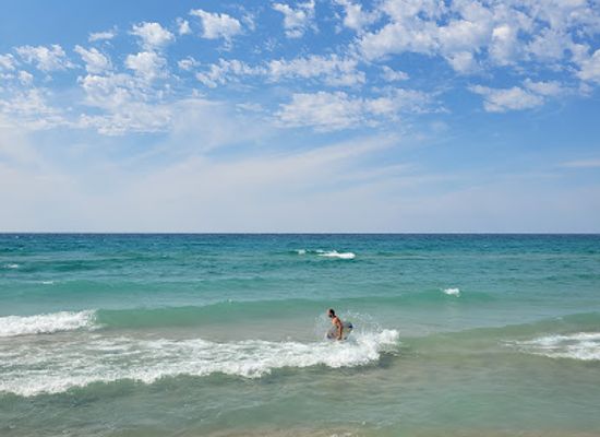 michigan/sleeping-bear-dunes-national-lakeshore/attraction/michigan-shore-to-shore-riding-and-hiking-trail