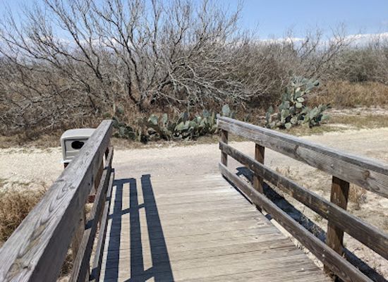 texas/corpus-christi/attraction/pauraque-point