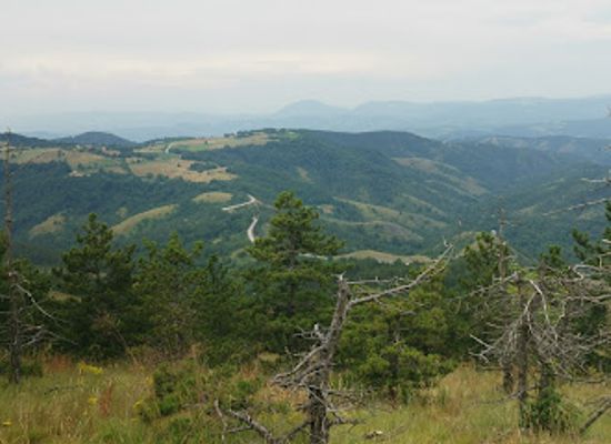 serbia/kolubara/attraction/lokalni-ratni-memorijal-kolubarska-bitka-prvi-svetski-rat