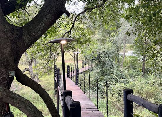 south-africa/elephant-coast/attraction/harloo-safaris