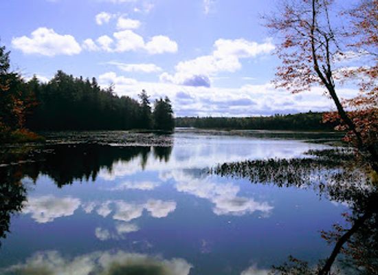 new-hampshire/mount-monadnock/attraction/annett-state-forest