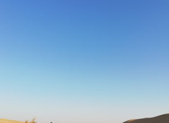 united-arab-emirates/hatta/attraction/dessert-safari