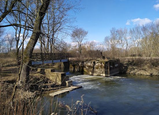hungary/hansag/attraction/tozike-tanosveny-ferto-hansag-national-park