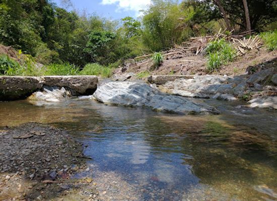 trinidad-and-tobago/couva-tabaquite-talparo/attraction/mannette-ranch