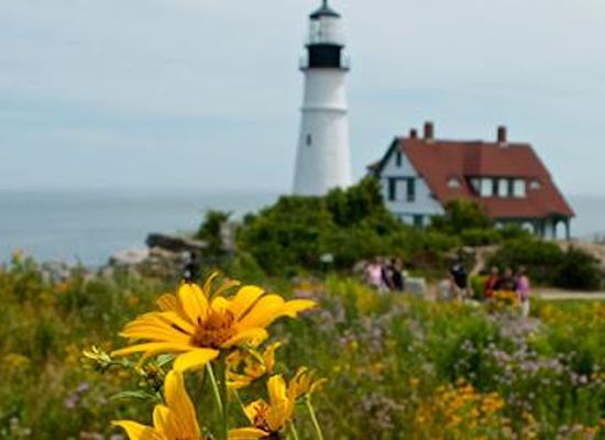 maine/saco/attraction/fort-williams-park