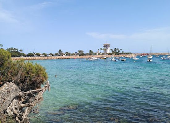spain/serra-de-tramuntana/attraction/marineland-mallorca