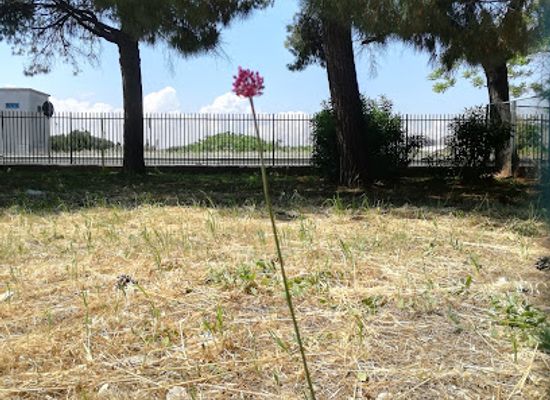 italy/bari/attraction/cittadella-mediterranea-della-scienza