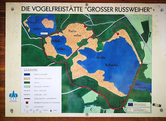 germany/upper-palatinate/attraction/russweiher