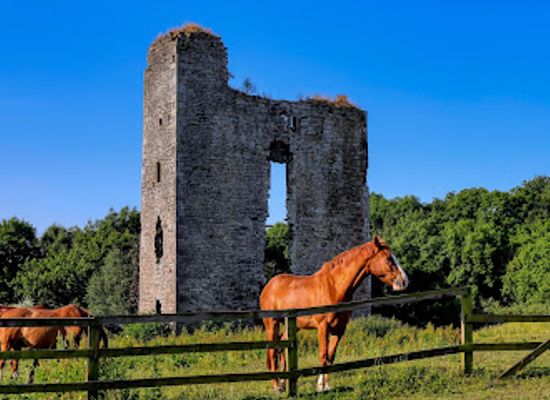 ireland/county-meath/attraction/monktown-castle