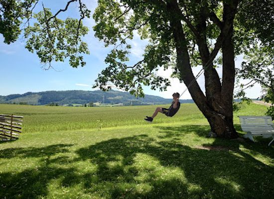 norway/hedmark/attraction/kvarstad-gard
