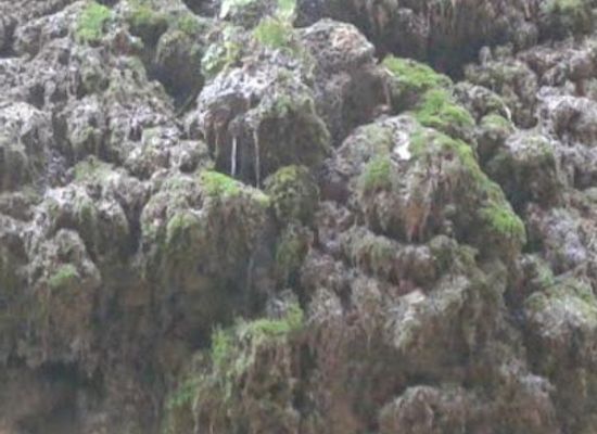 jordan/al-karak/attraction/ain-sahur