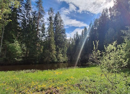 estonia/polvamaa/attraction/taevaskoja-ohvrikivi