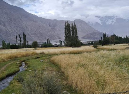 india/ladakh/attraction/sankar-gompa
