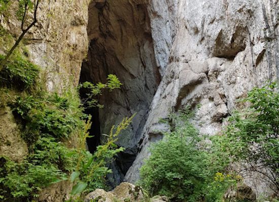 romania/hunedoara/attraction/pestera-sura-mare