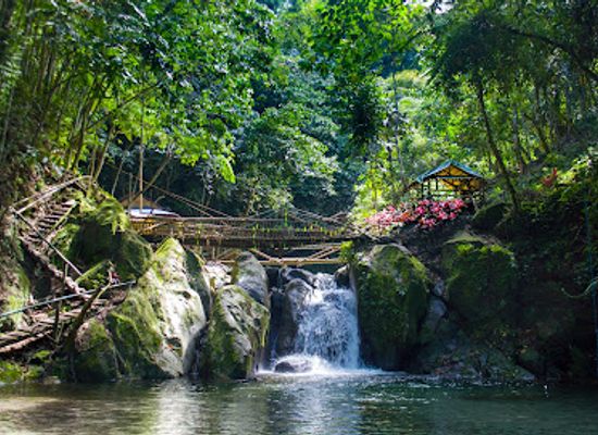 philippines/visayas/attraction/binuldusan-falls
