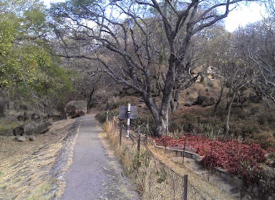 zimbabwe/bulawayo/attraction/hillside-dams-conservancy-office