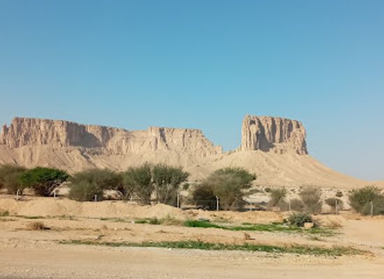 saudi-arabia/empty-quarter-desert/attraction/red-sand-dunes