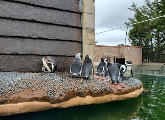 new-york/the-hamptons/attraction/long-island-aquarium
