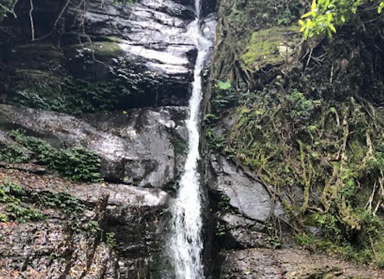 australia/new-england/attraction/cascades-walk