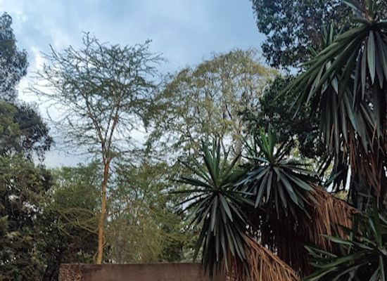 kenya/nairobi/attraction/murumbi-peace-memorial